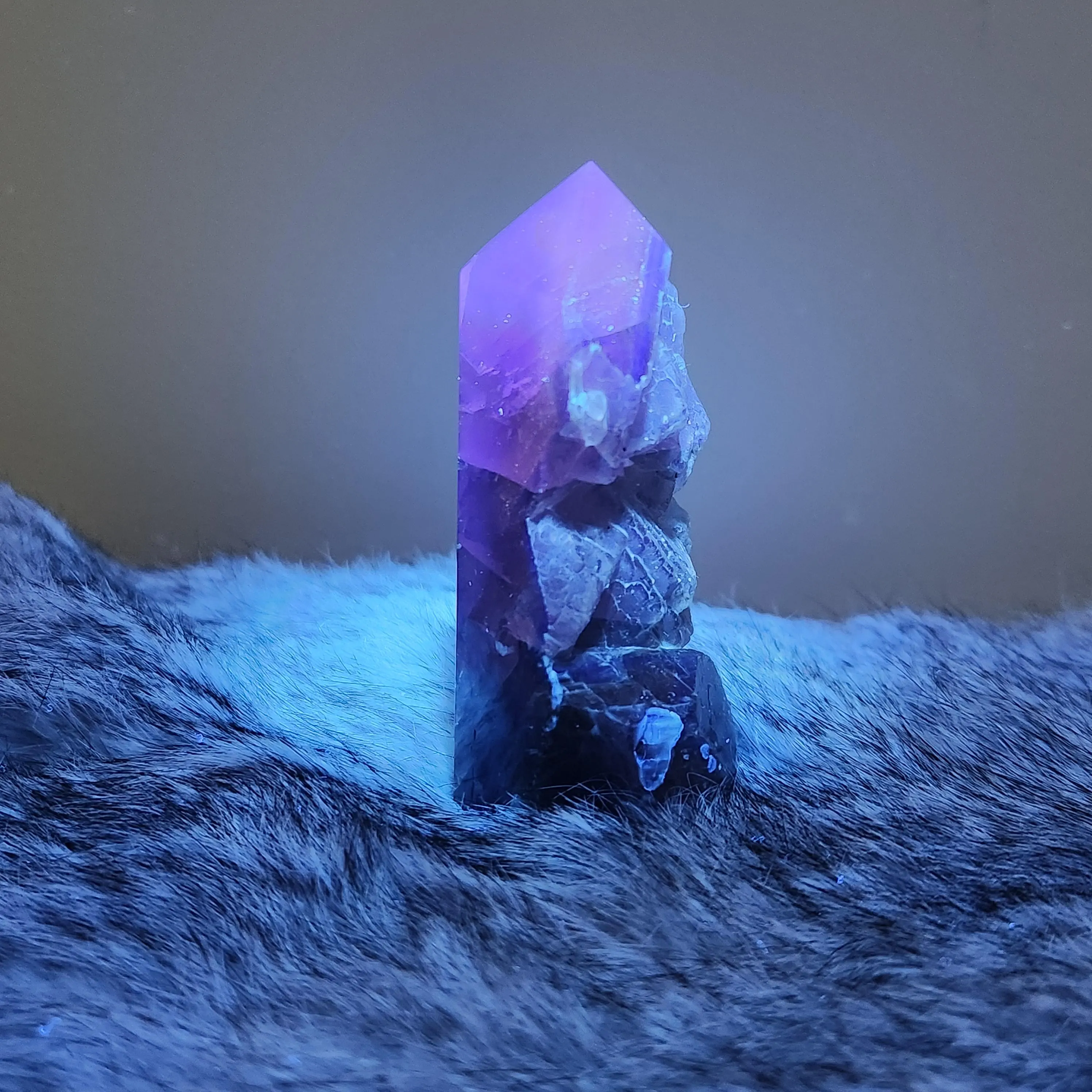 Black Rose Fluorite Point - 3" Black Rose Fluorite crystal point  