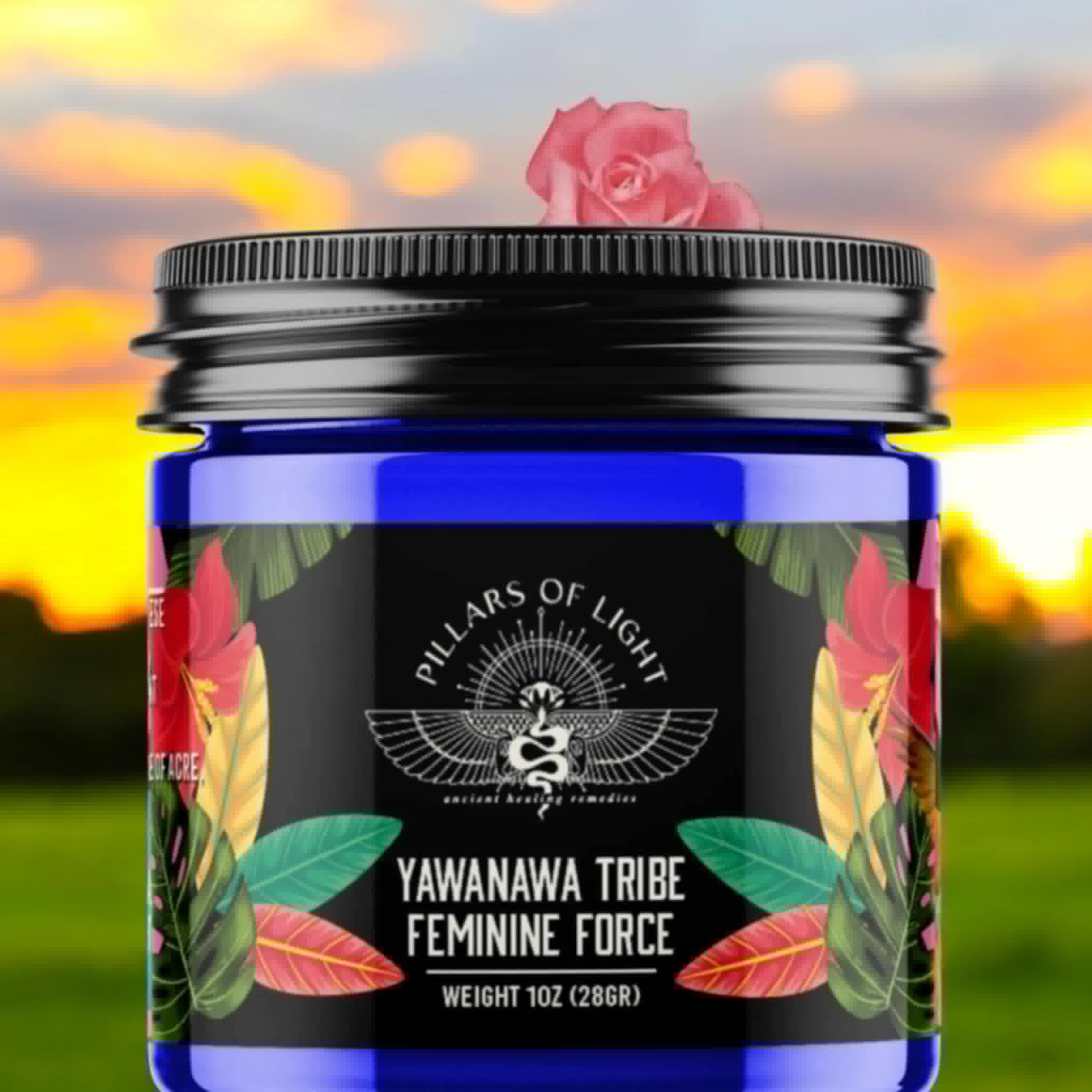 🌺 Feminine Hapé – Sacred Medicine of the Yawanawa Women