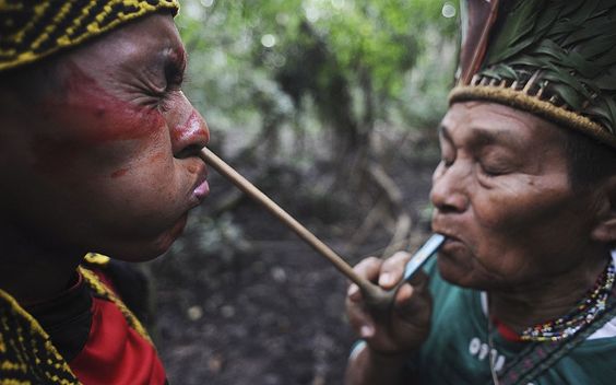  Alpaca Bone  Single Tepi – Shipibo Tribe