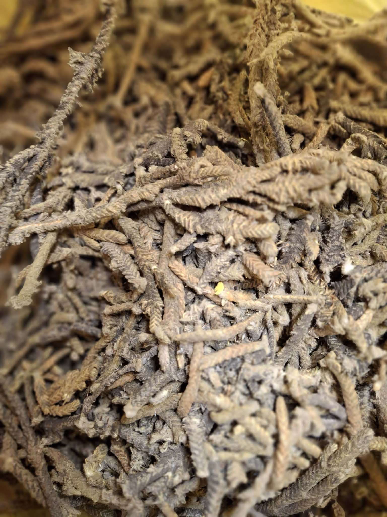 Palma Dulce – Sweet Smudge 1oz