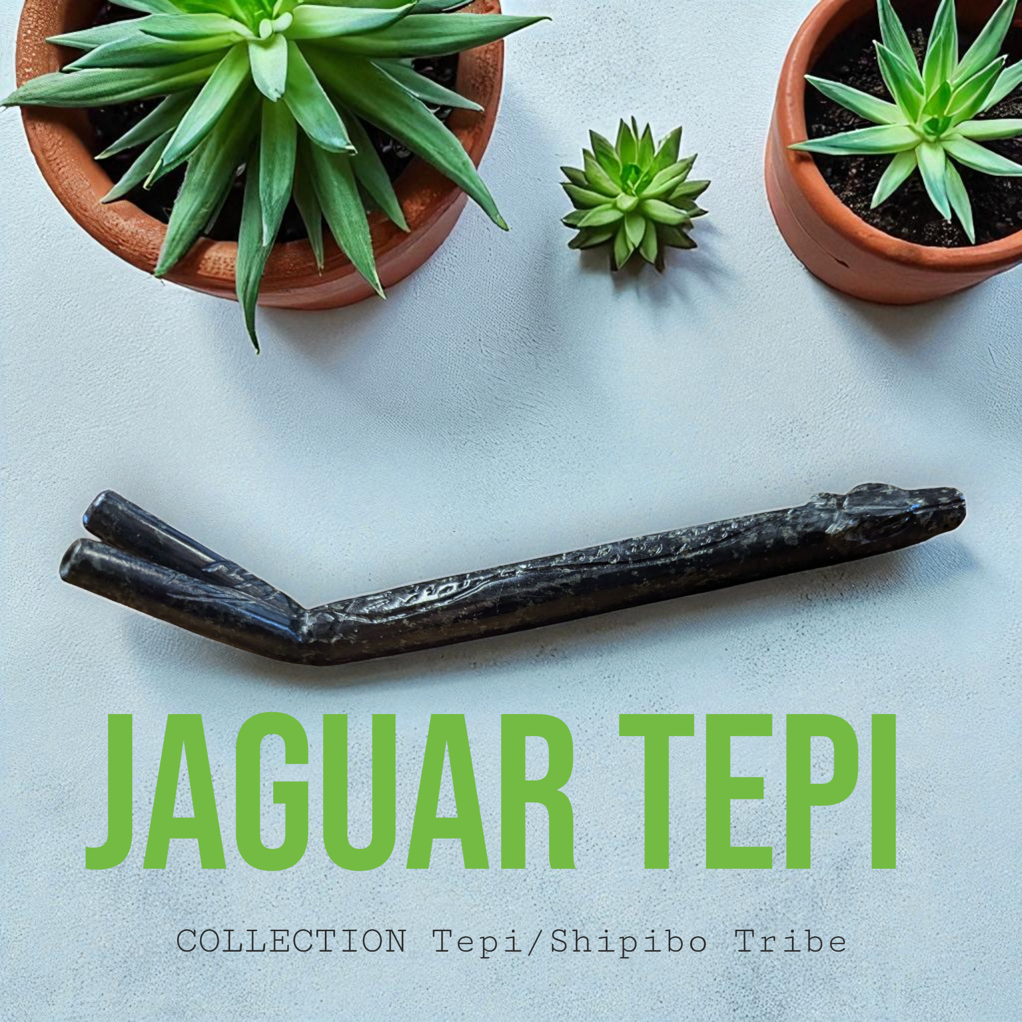 Jaguar Tepi – Shipibo Collection