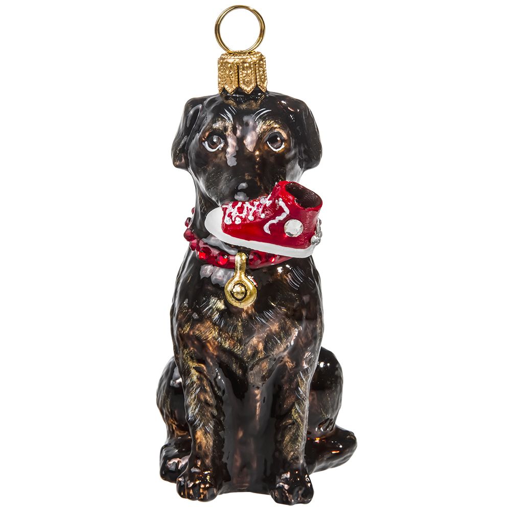 Chocolate Lab Dog with High Top Sneaker Glass Ornament by Joy to the World Collectibles