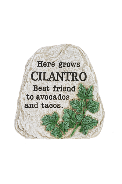 Humorous Herb Garden Stones Plant Marker: Basil, Sage, Thyme, Mint, Cilantro, Rosemary 6 Pack  1 Each