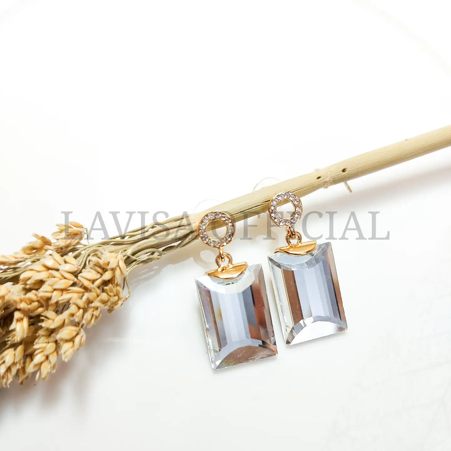 Imported Earrings 