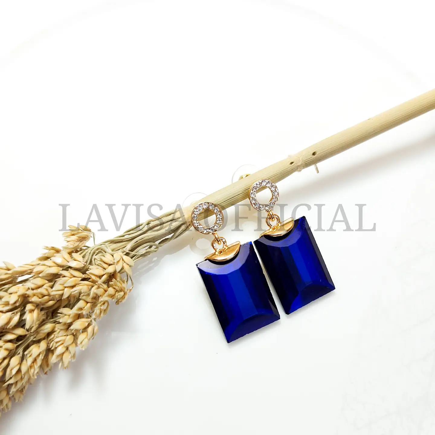 Imported Earrings 