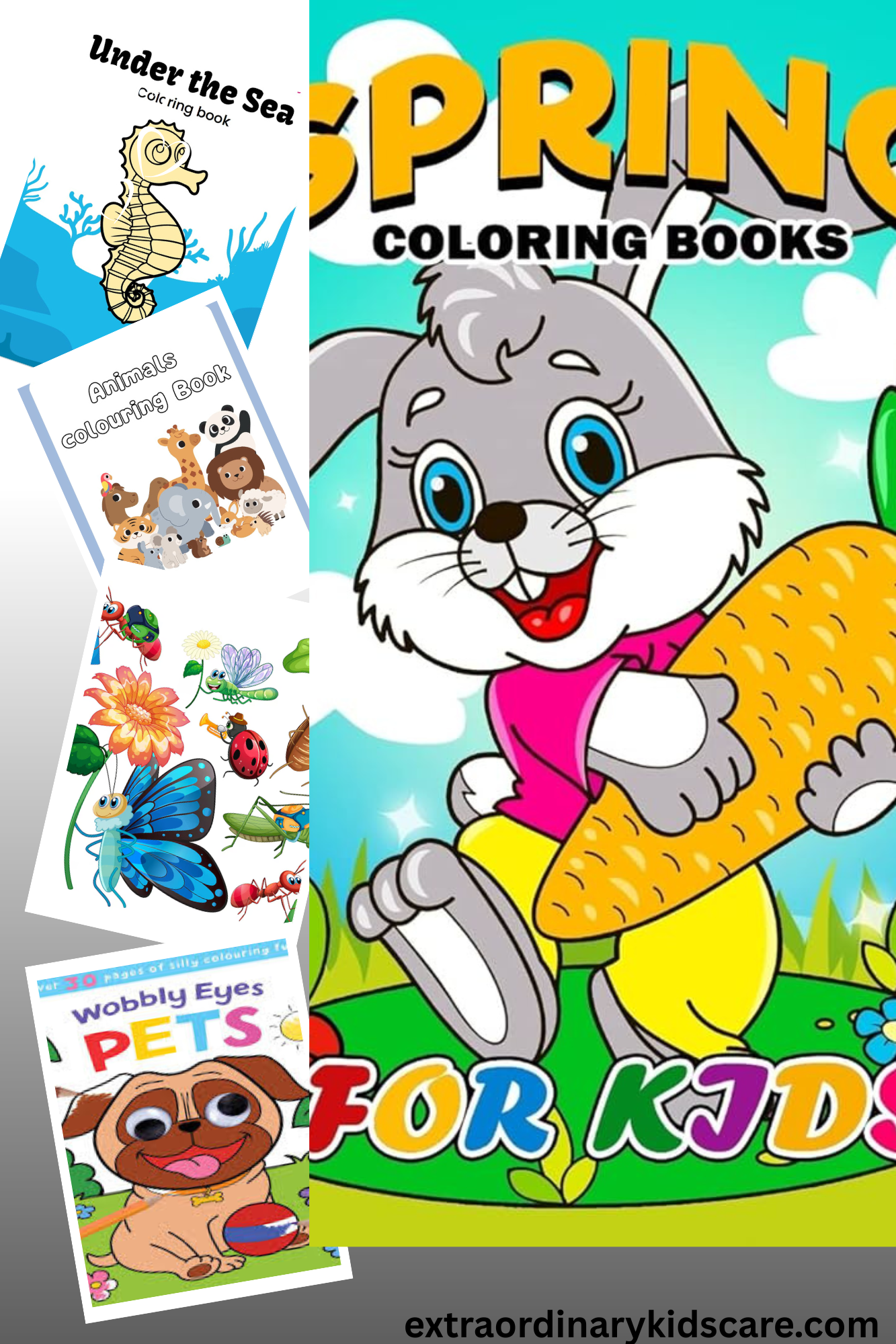 "Colorful Adventures: 5 Books set.