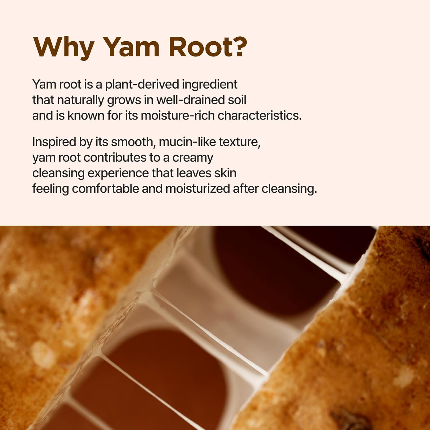 IsNtree Yam Root Vegan Milk Cleanser | Korean Facial Cleanser with Yam Root | Hydrating Milky Cleanser for Sensitive Skin, Gentle & Creamy, 7.43 fl oz