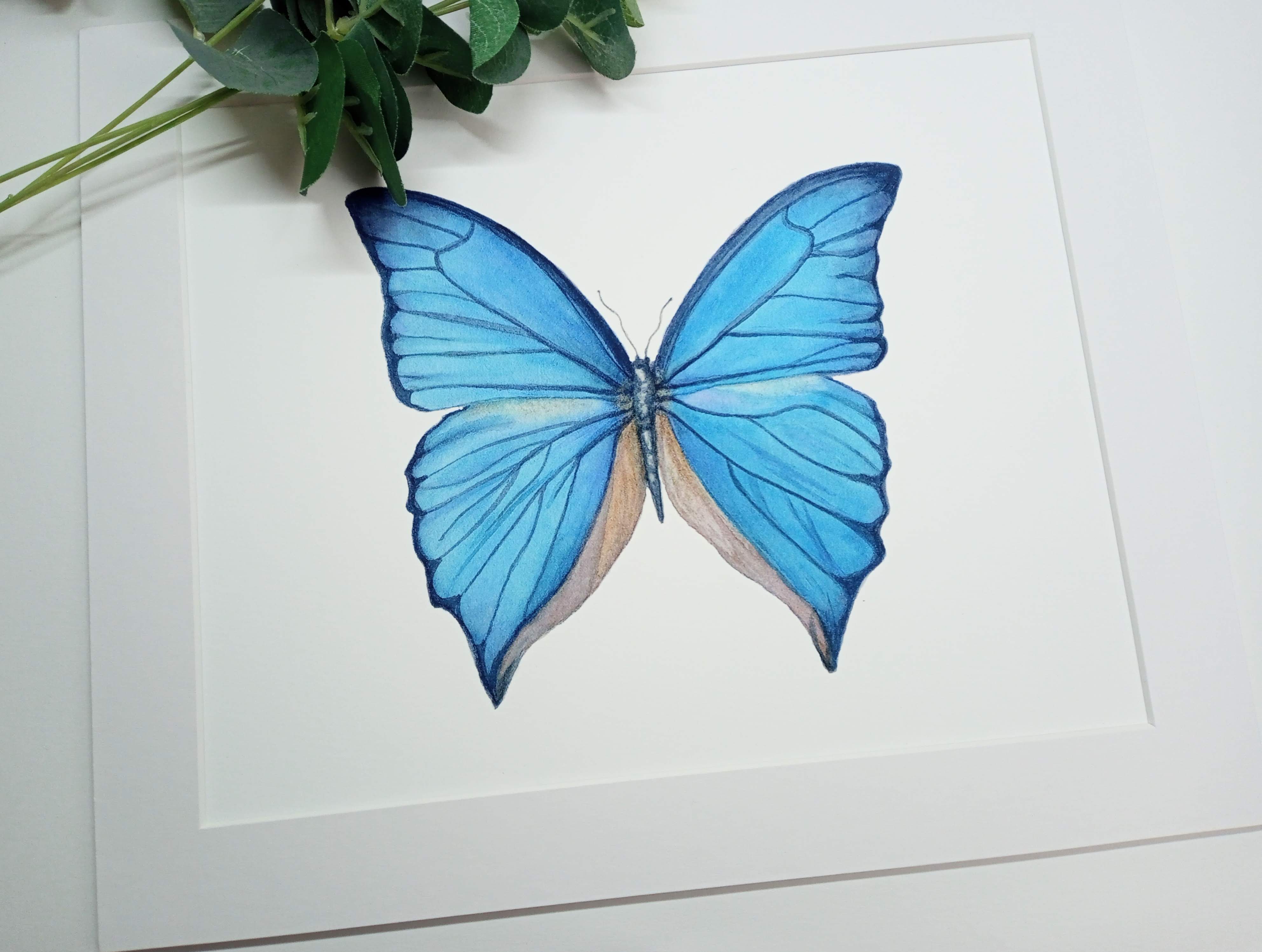 Blue Butterfly, Fine Art Print