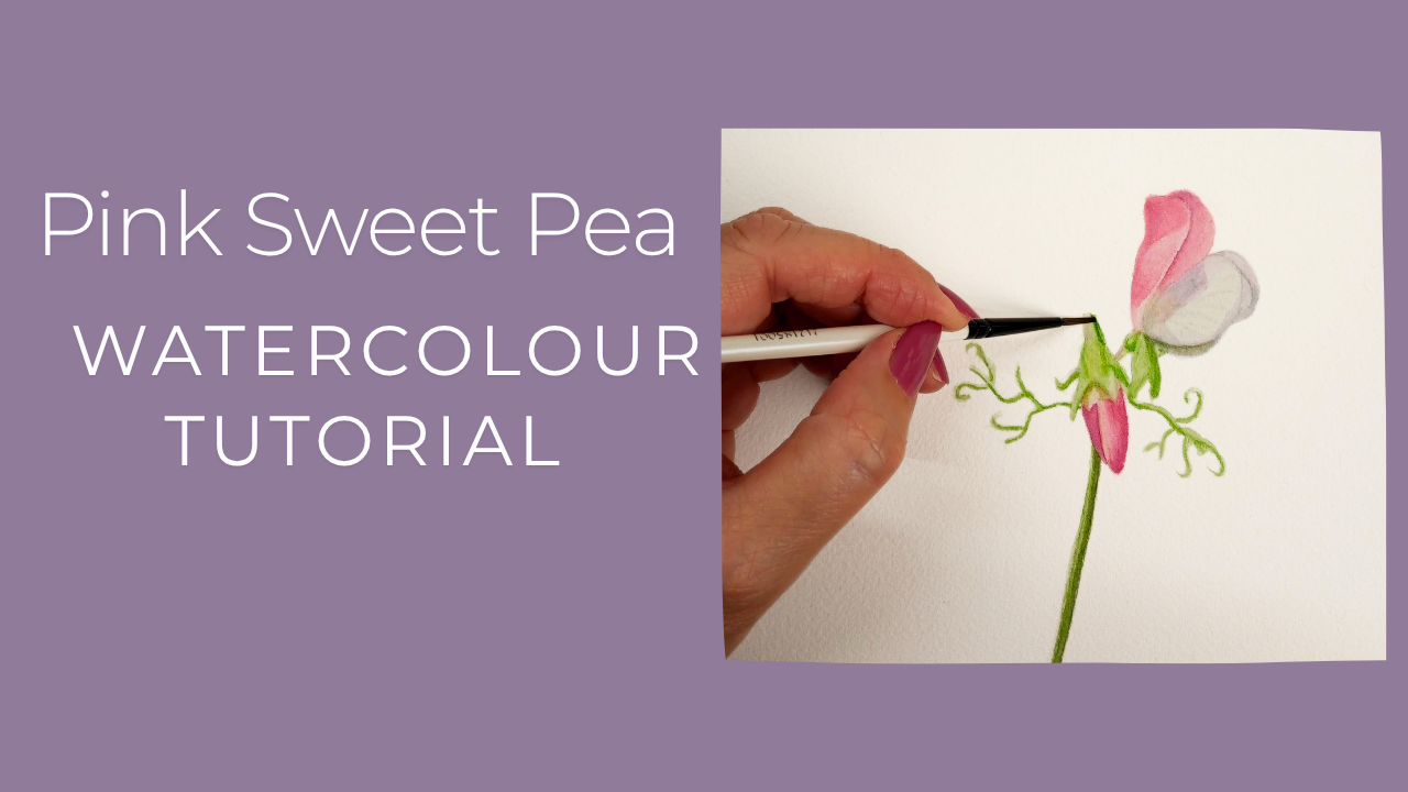 Sweet Pea Flower Watercolour Tutorial for Beginners
