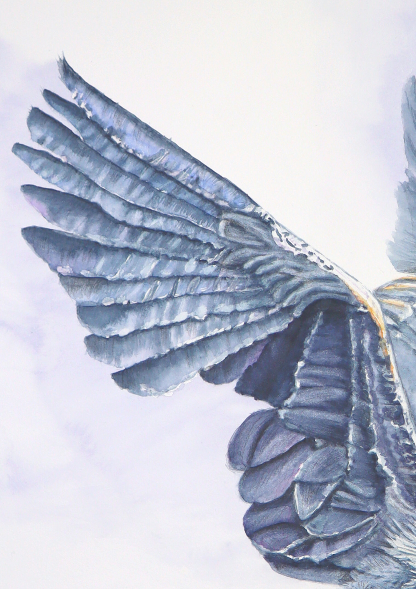 Making A Splash, Original Artwork