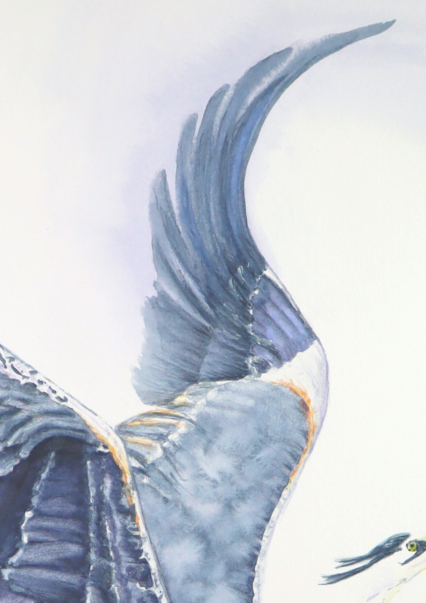 Making A Splash, Original Artwork