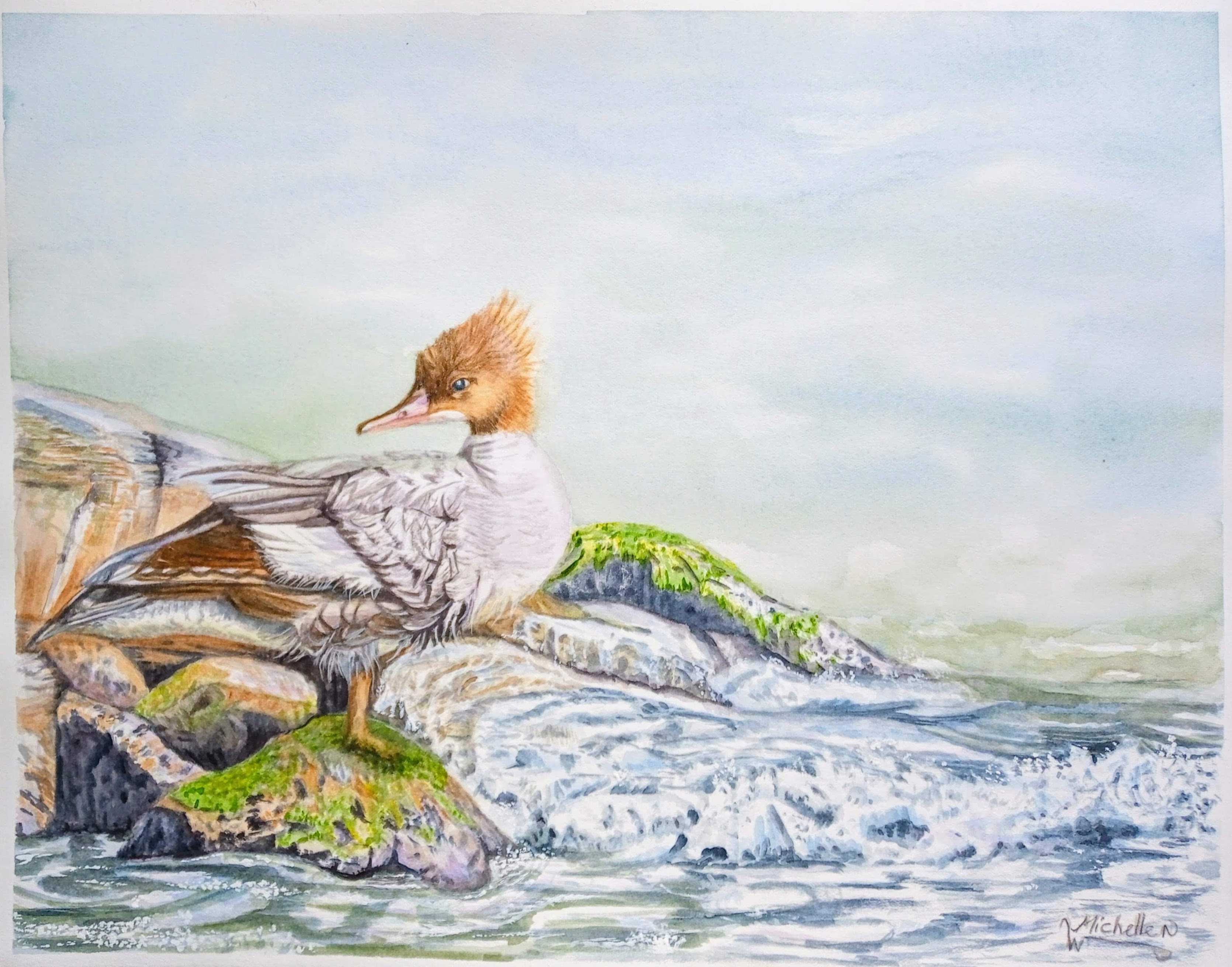 Sanctuary's Edge, Merganser Duck, Original Artwork