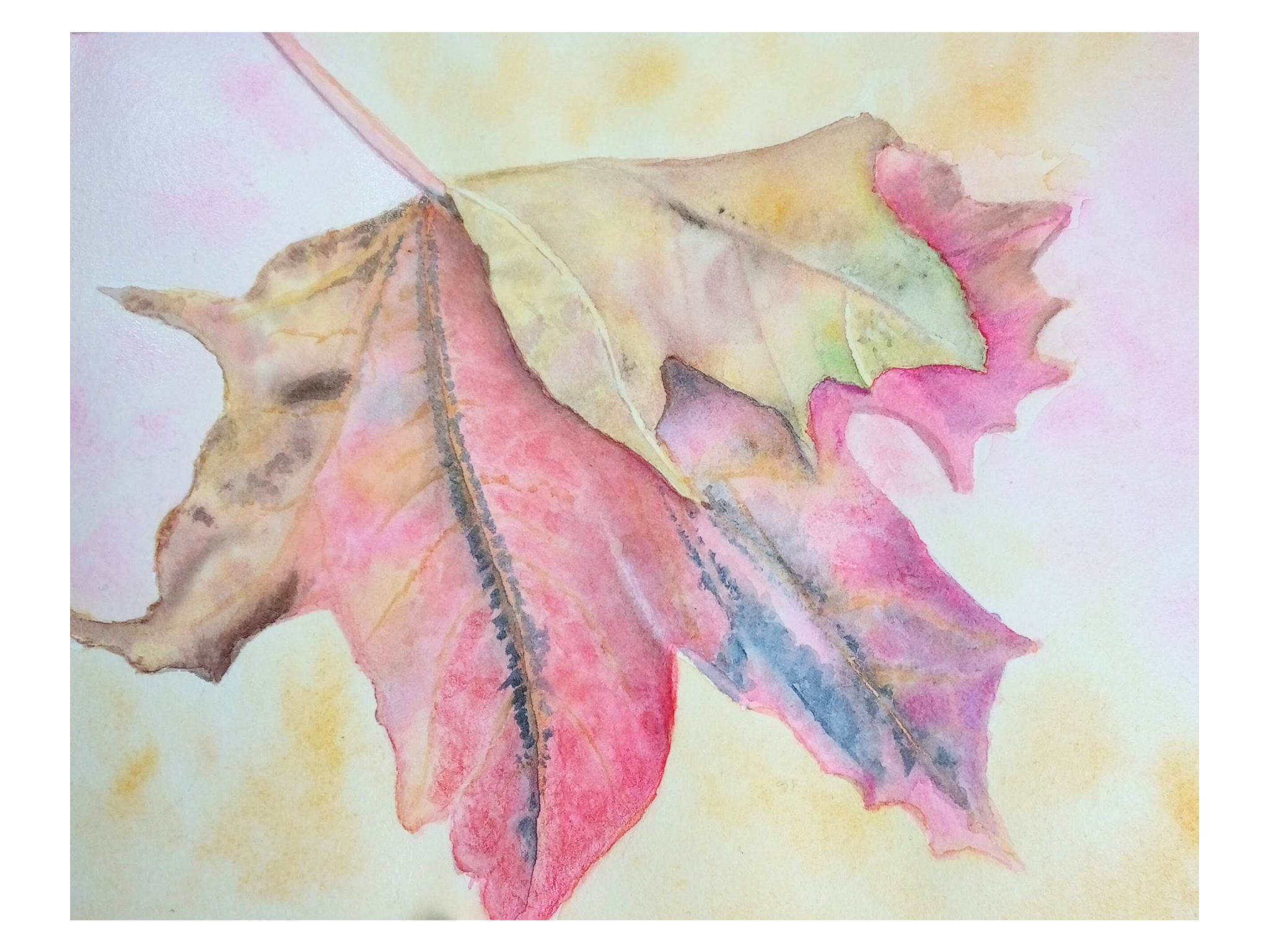Maple Leaf Watercolour Tutorial