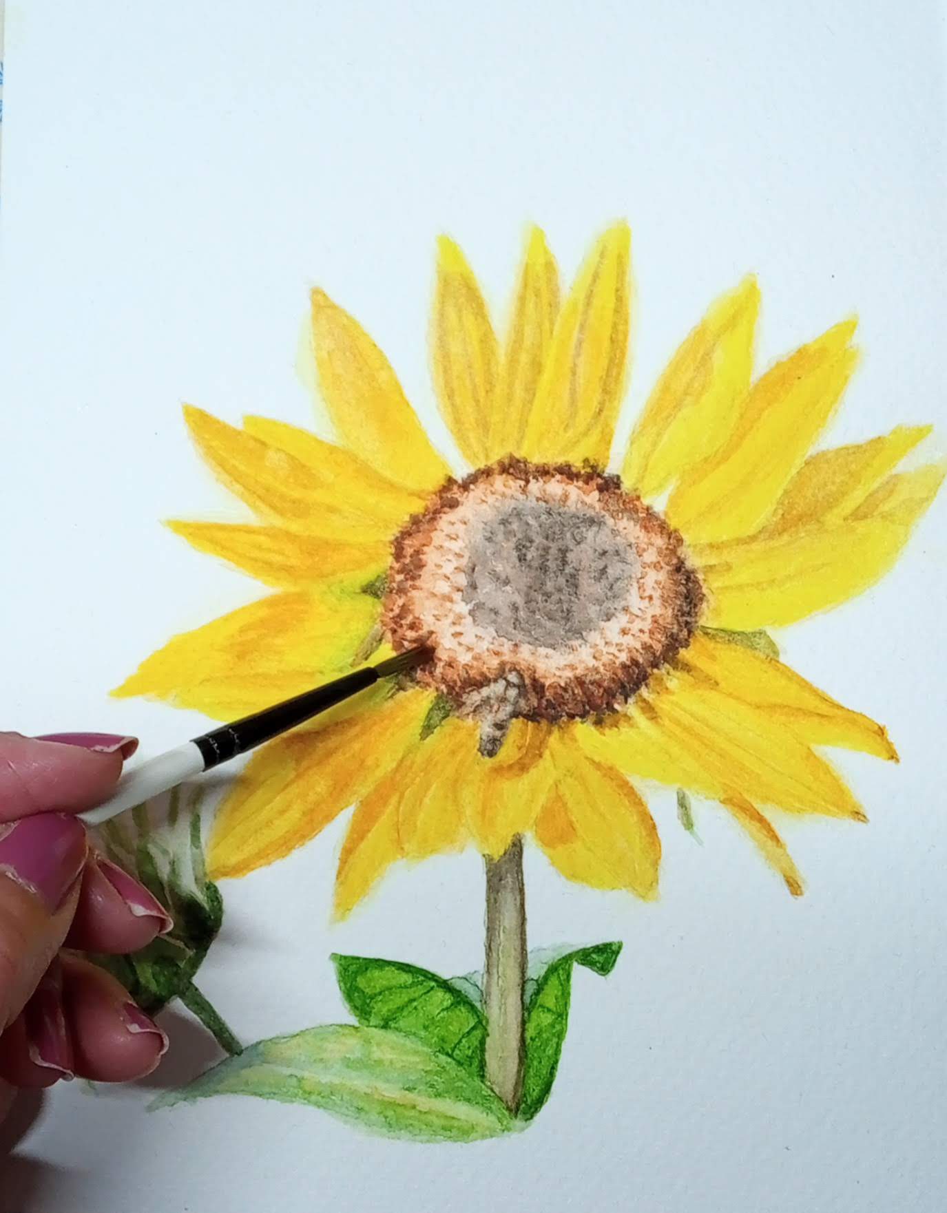 Sunflower Watercolour Tutorial 
