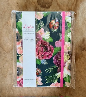 Ladybird Lined Journal 
