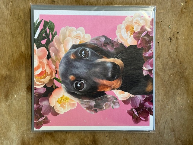 Flower Dachshund Greeting Card