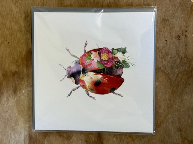Ladybird Greeting Card 