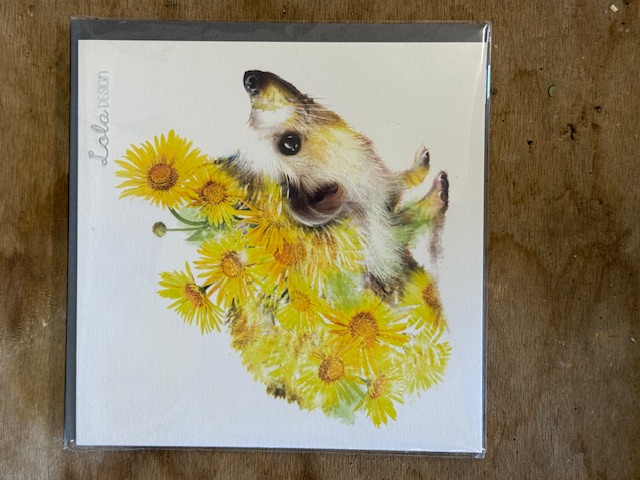 Hedgehog Greeting Card