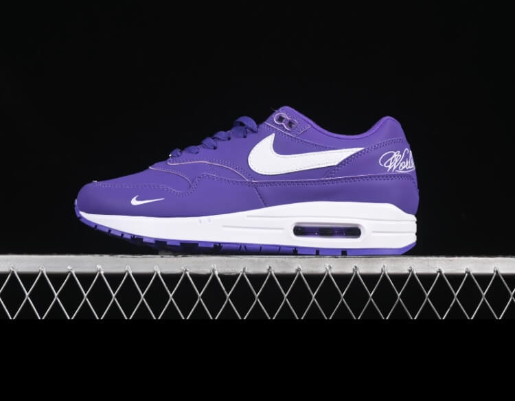 Supreme x NK air max 2024 purple