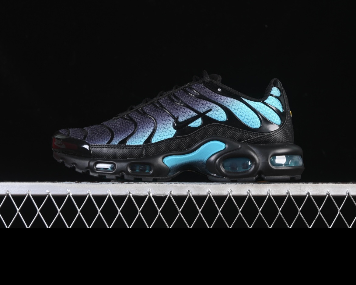 Nk air max plus blue
