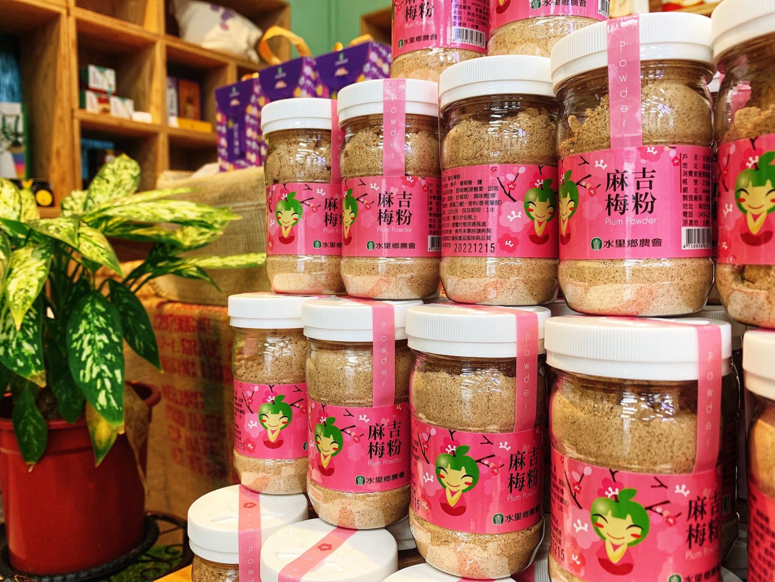 Machi Plum Powder Buy 2 Get 1 Free 麻吉梅粉 買二送一 