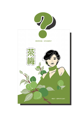 Tea Plum (Travel size) Buy 2 Get 1 Free 茶梅 (隨手包) 買二送一