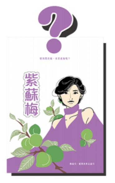 Plum COMBO (travel size) 蜜餞組合 (隨手包)
