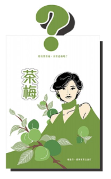 Plum COMBO (travel size) 蜜餞組合 (隨手包)