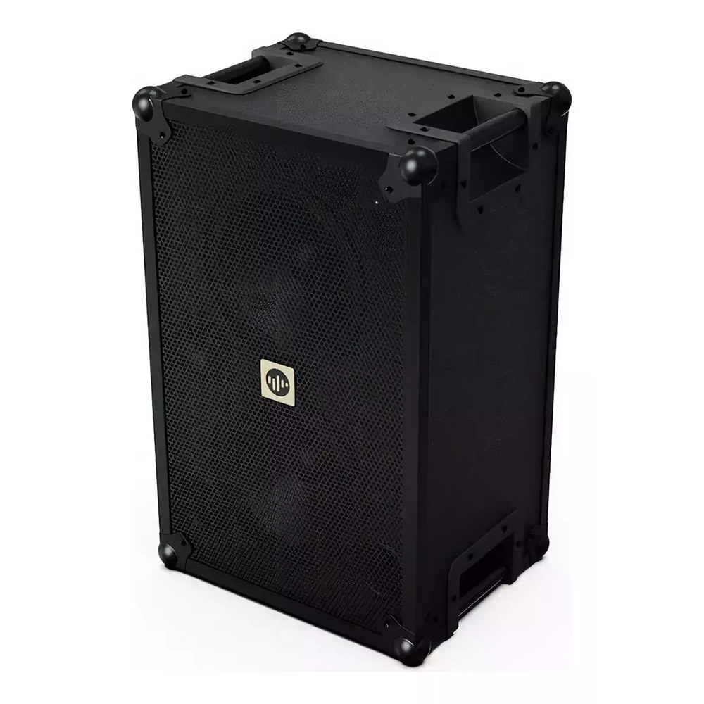 Parlante Portátil Stromberg Crash – 100W RMS Reales (2x8") (Outlet)