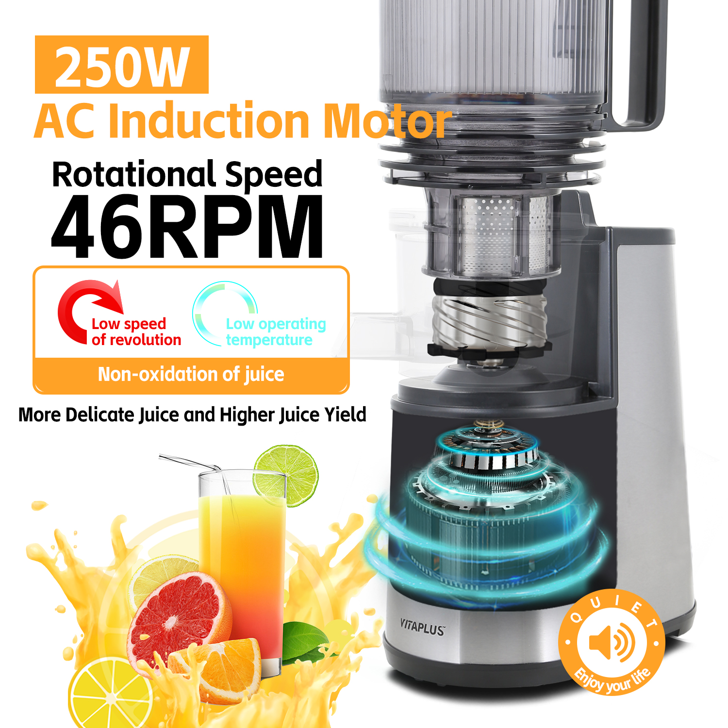 Cold Press Juicer, Masticating Juicer, 