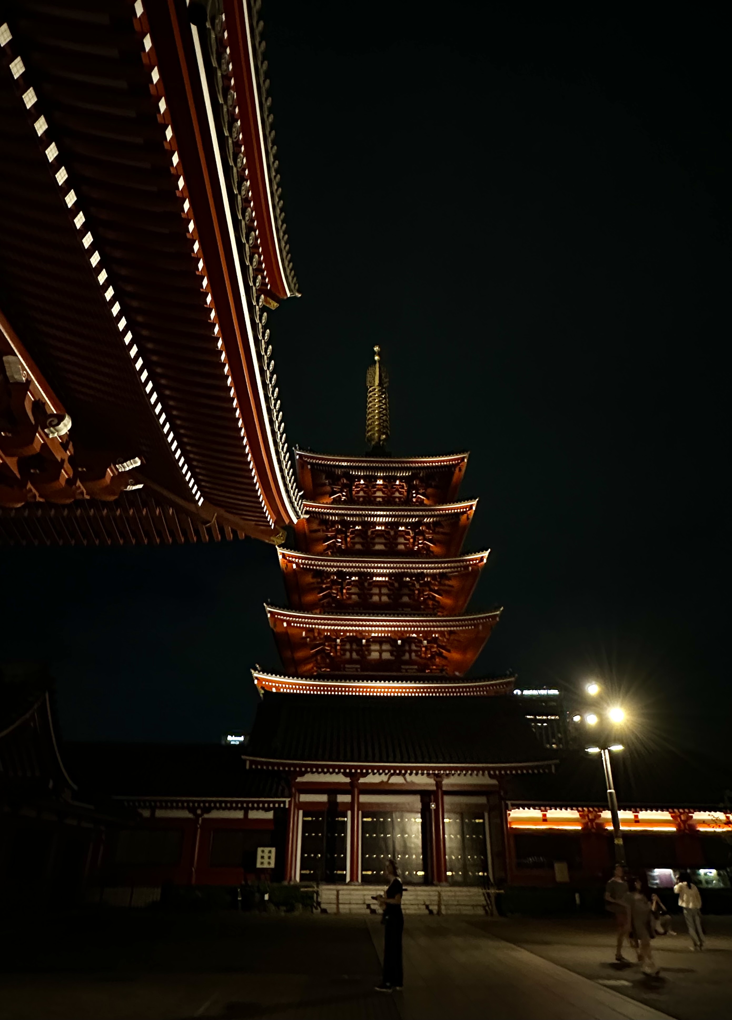 VISITA TOKIO NOCTURNO: Asakusa, Akihabara y Shibuya