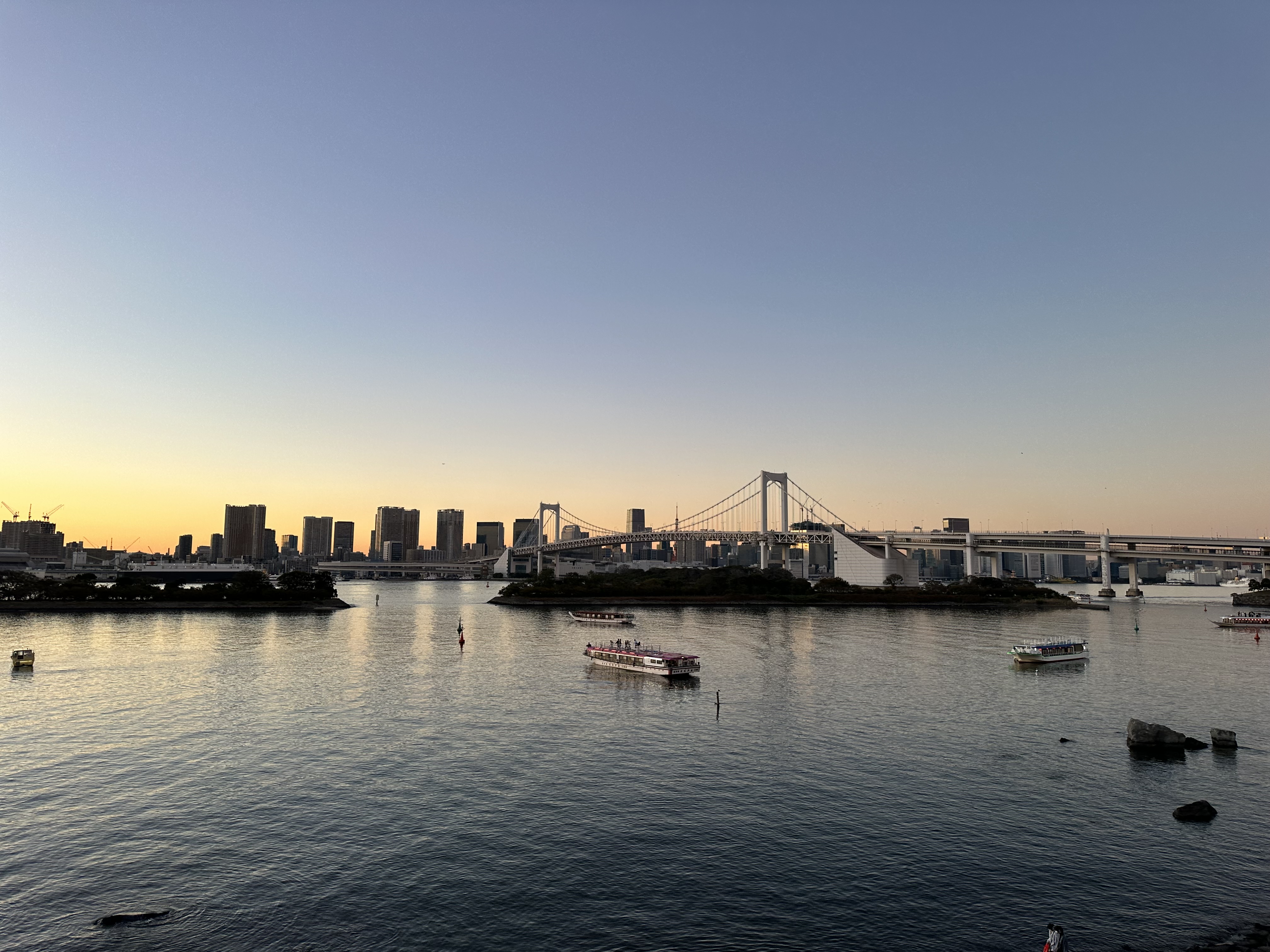 VISITA PERSONALIZADA POR TOKIO