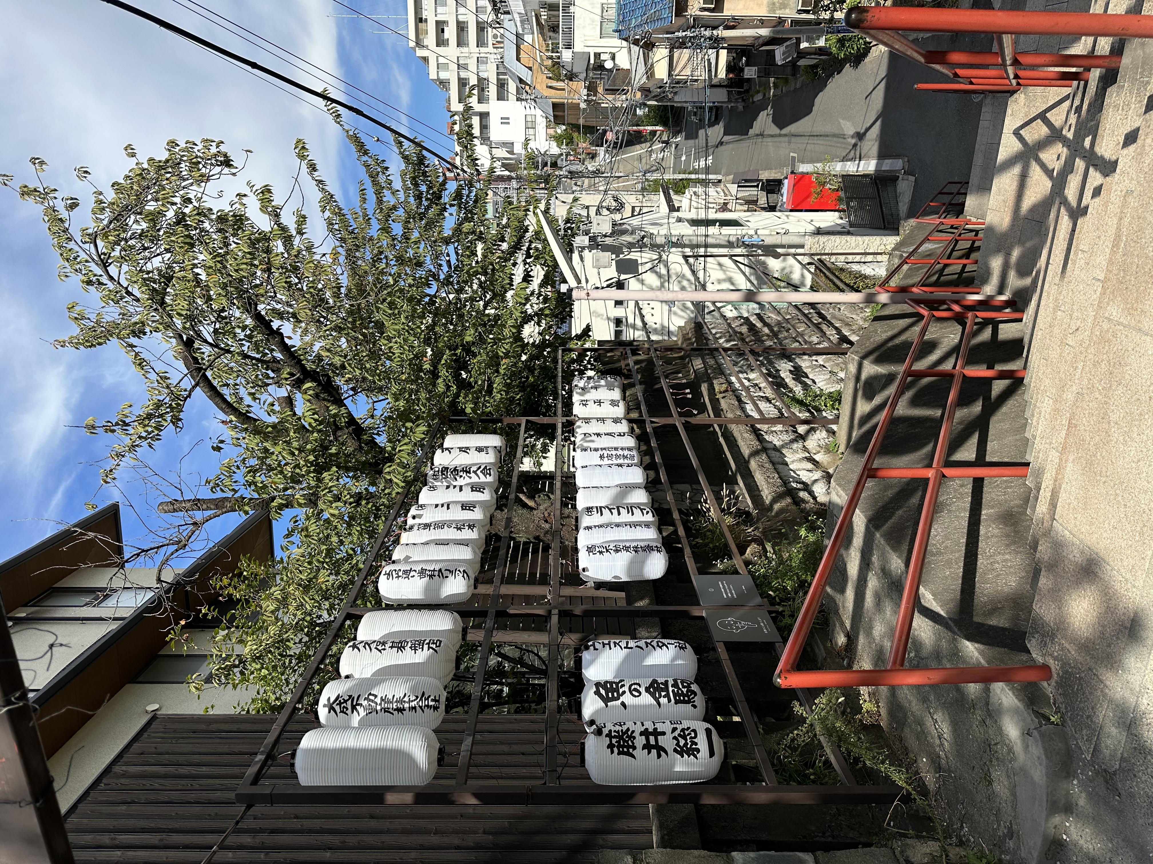 VISITA PERSONALIZADA POR TOKIO