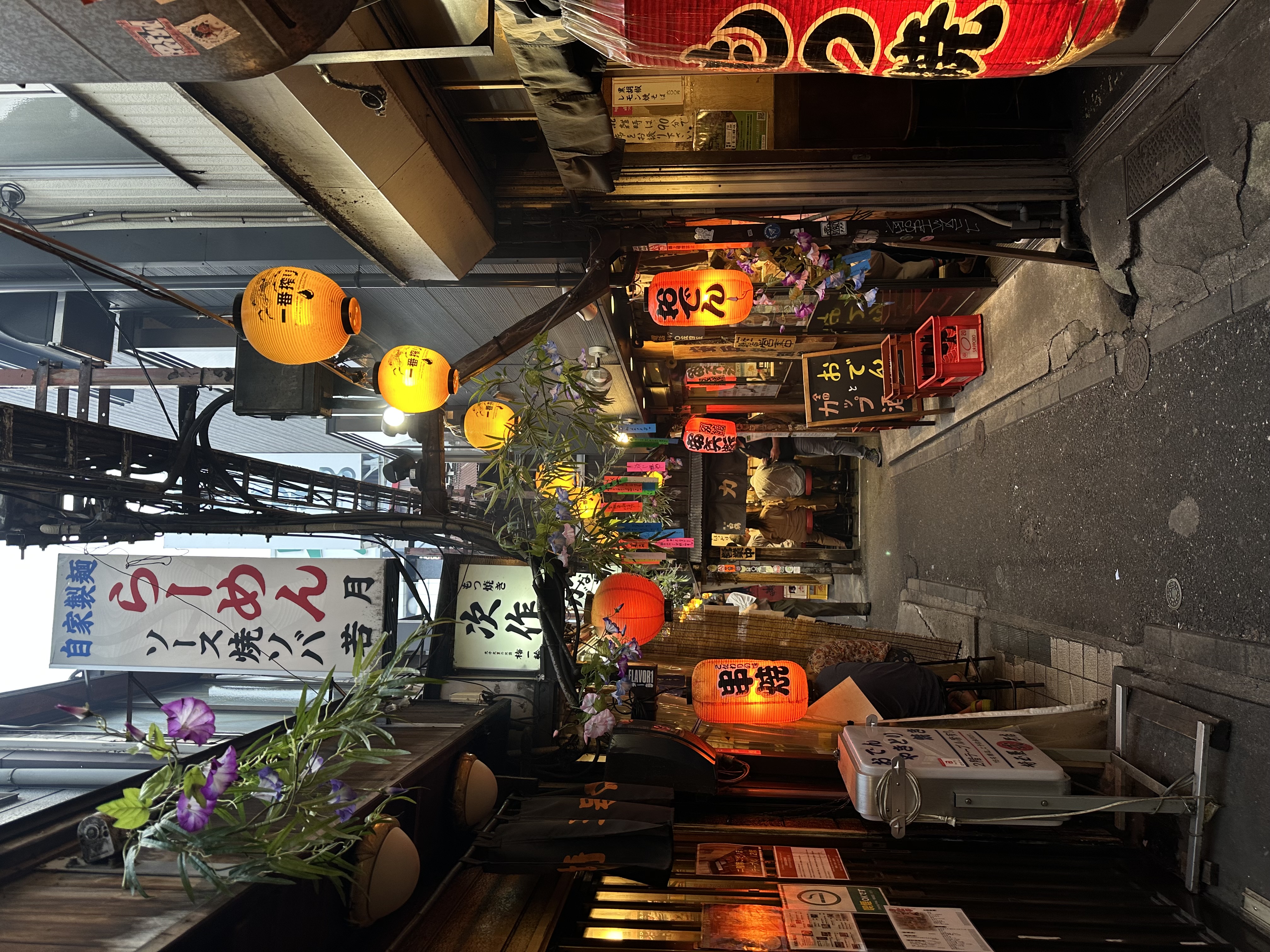 VISITA PERSONALIZADA POR TOKIO