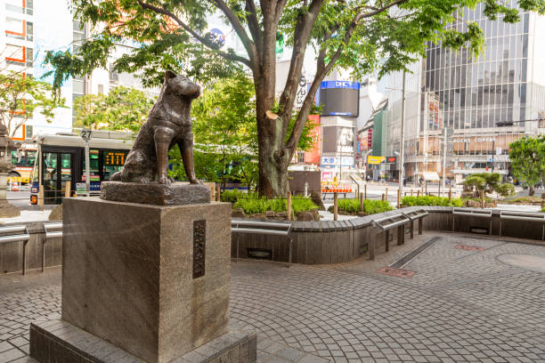 VISITA TOKIO 2 DÍAS