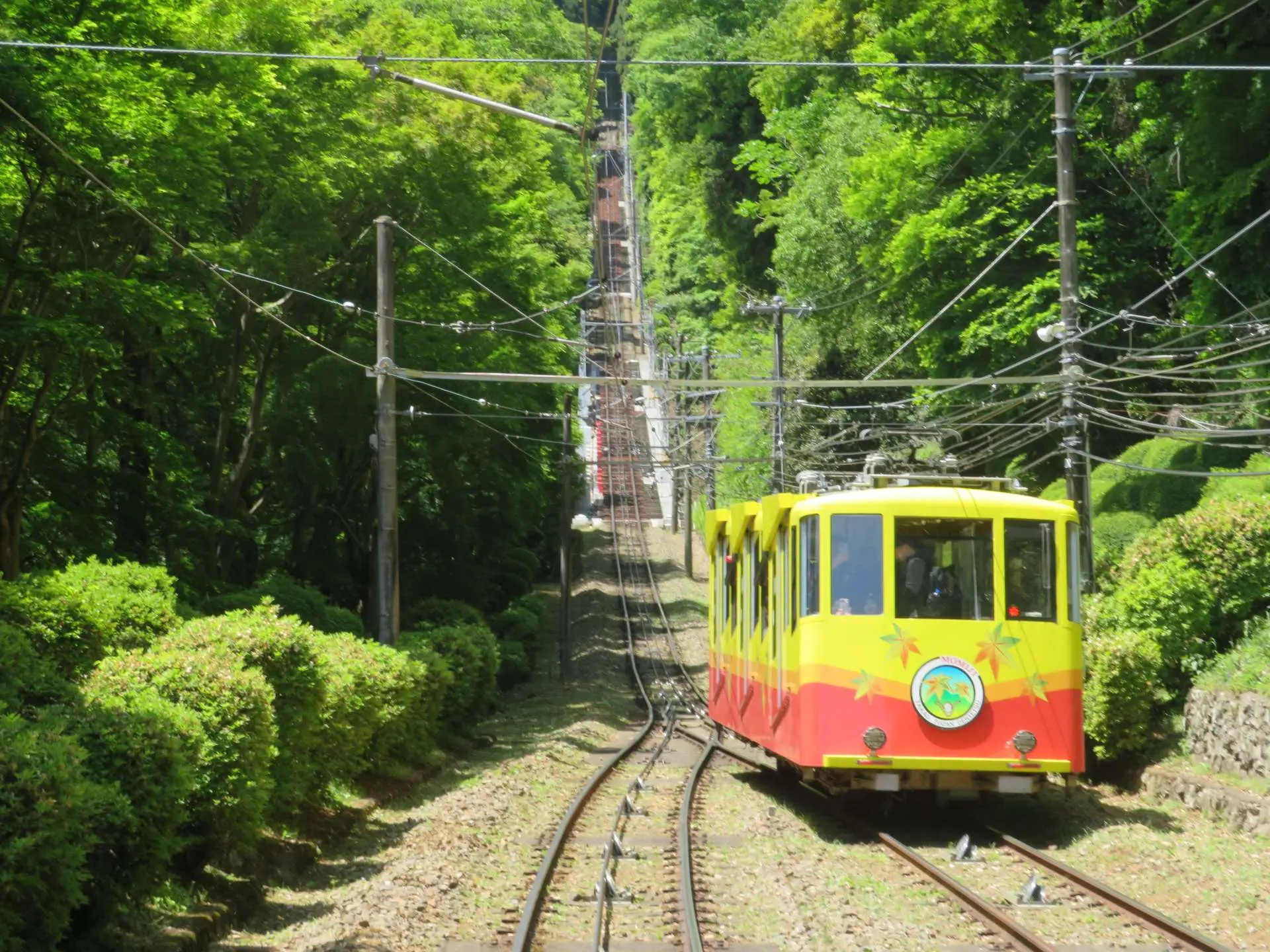 VISITA A MONTE TAKAO
