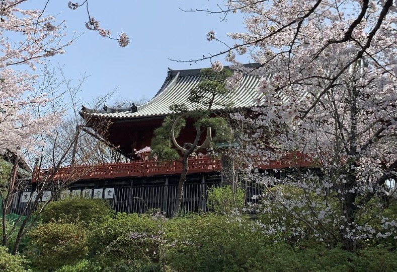 VISITA TOKIO 2 DÍAS