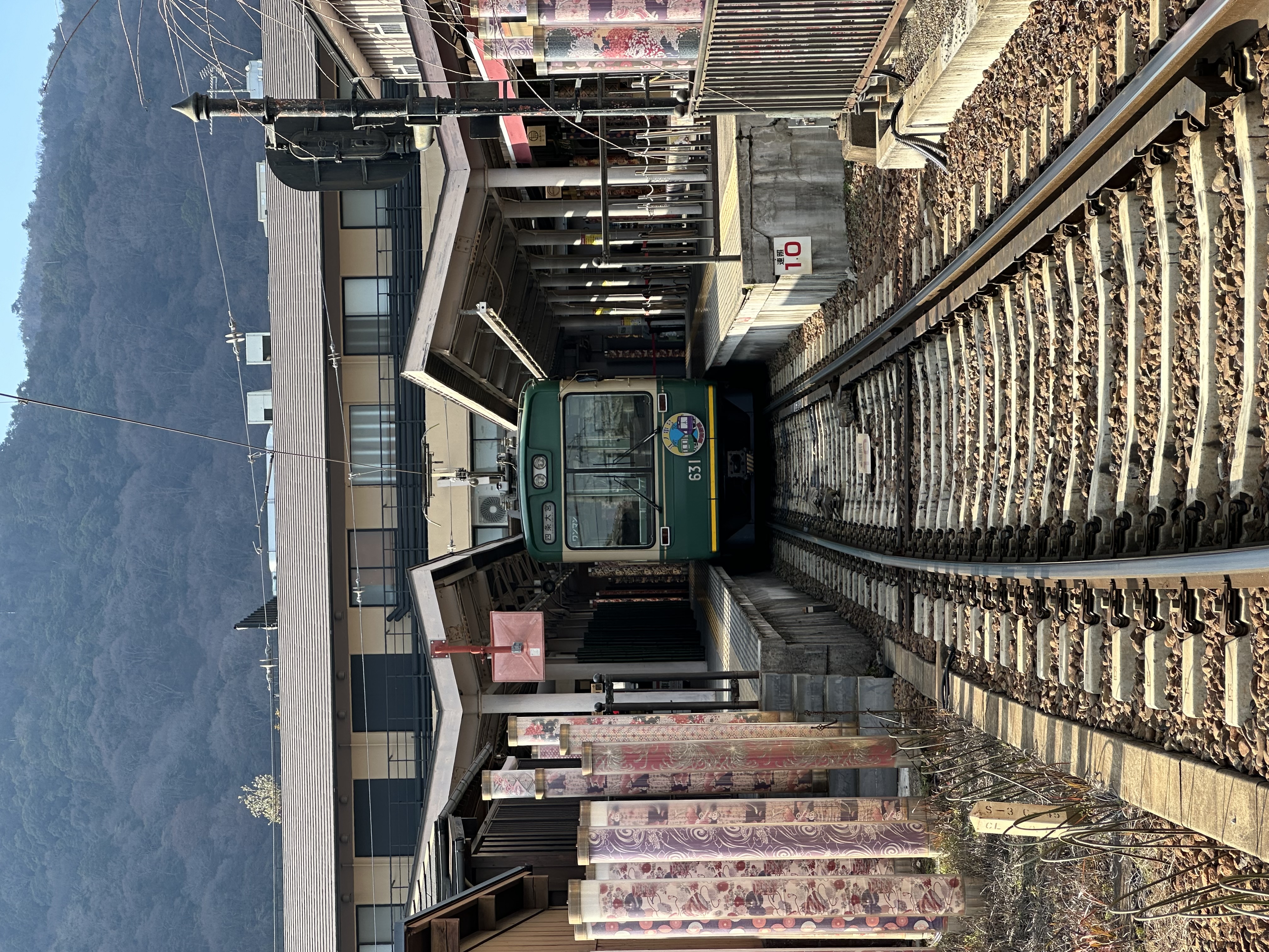 VISITA AL BOSQUE DE BAMBÚ DE ARASHIYAMA Y VILLA IMPERIAL DE UJI