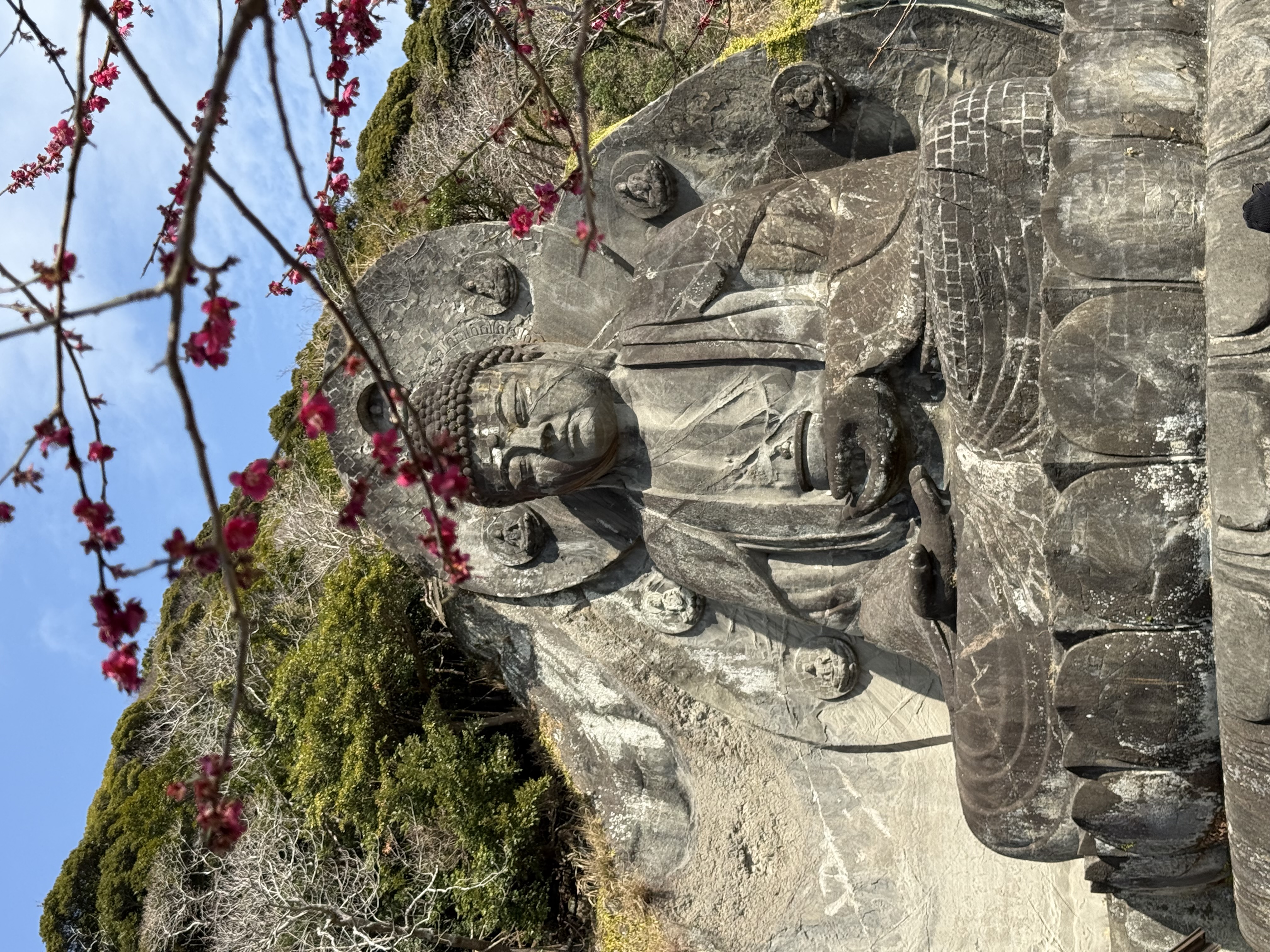 VISITA AL MONTE NOKOGIRI