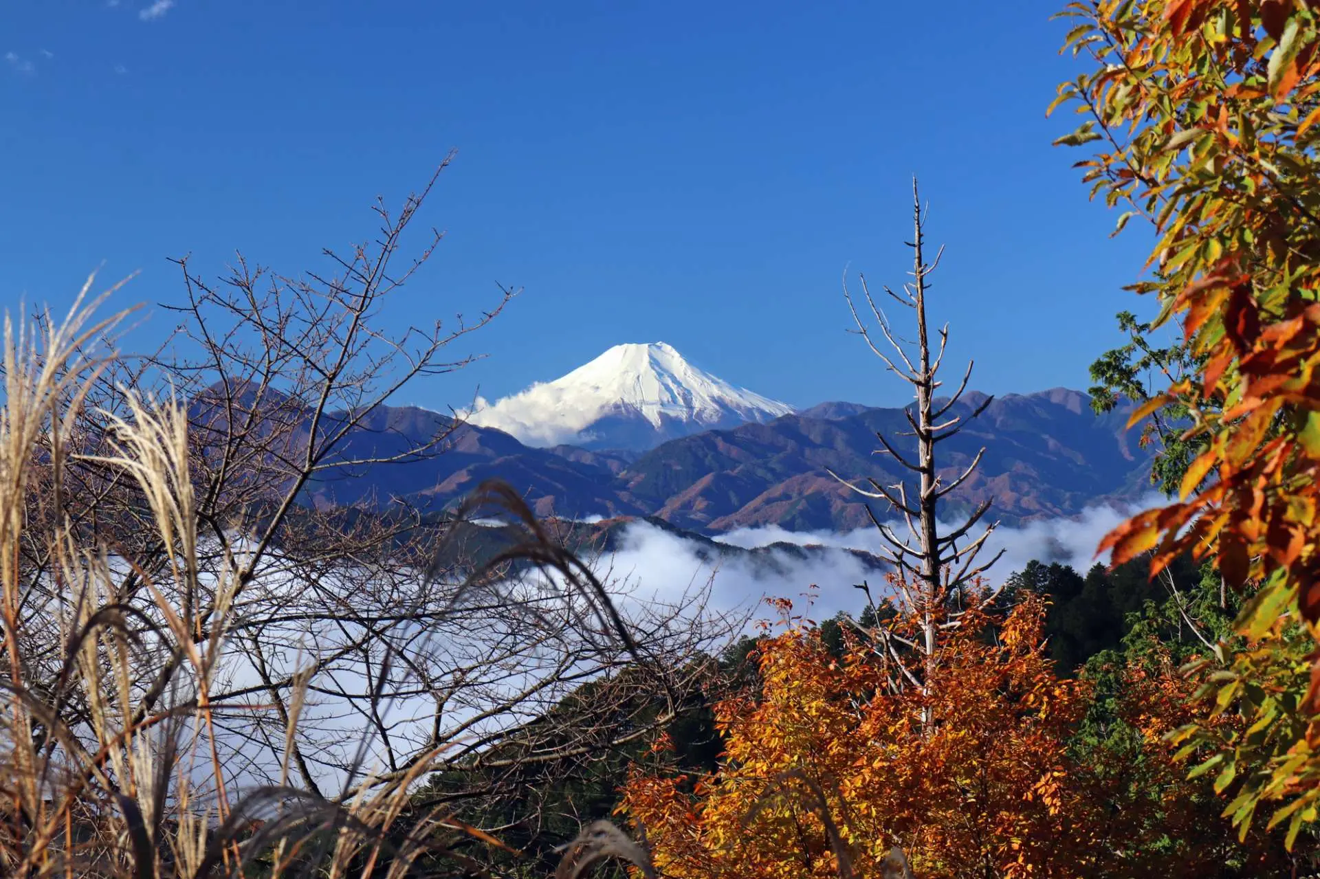 VISITA A MONTE TAKAO