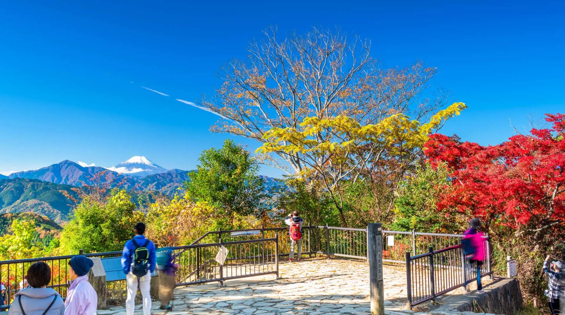 VISITA A MONTE TAKAO