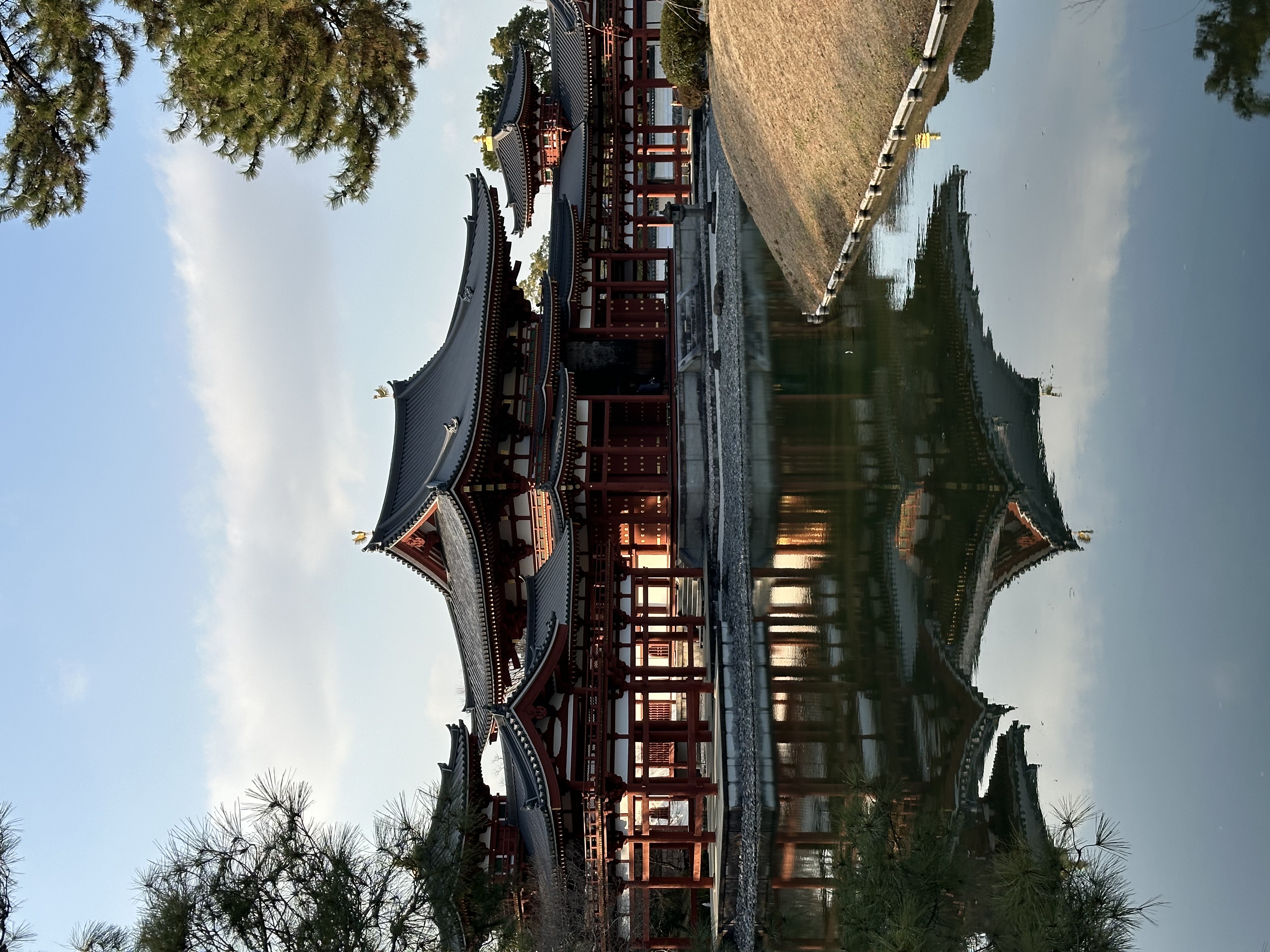 VISITA AL BOSQUE DE BAMBÚ DE ARASHIYAMA Y VILLA IMPERIAL DE UJI
