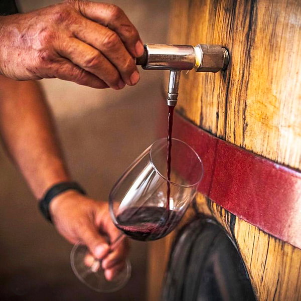 Full day en el Valle del Maipo: Hasta Melipilla