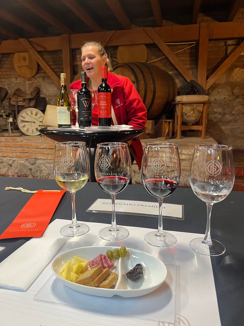 Full day en el Valle del Maipo: Hasta Paine