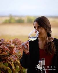 Full day en el Valle del Maipo!