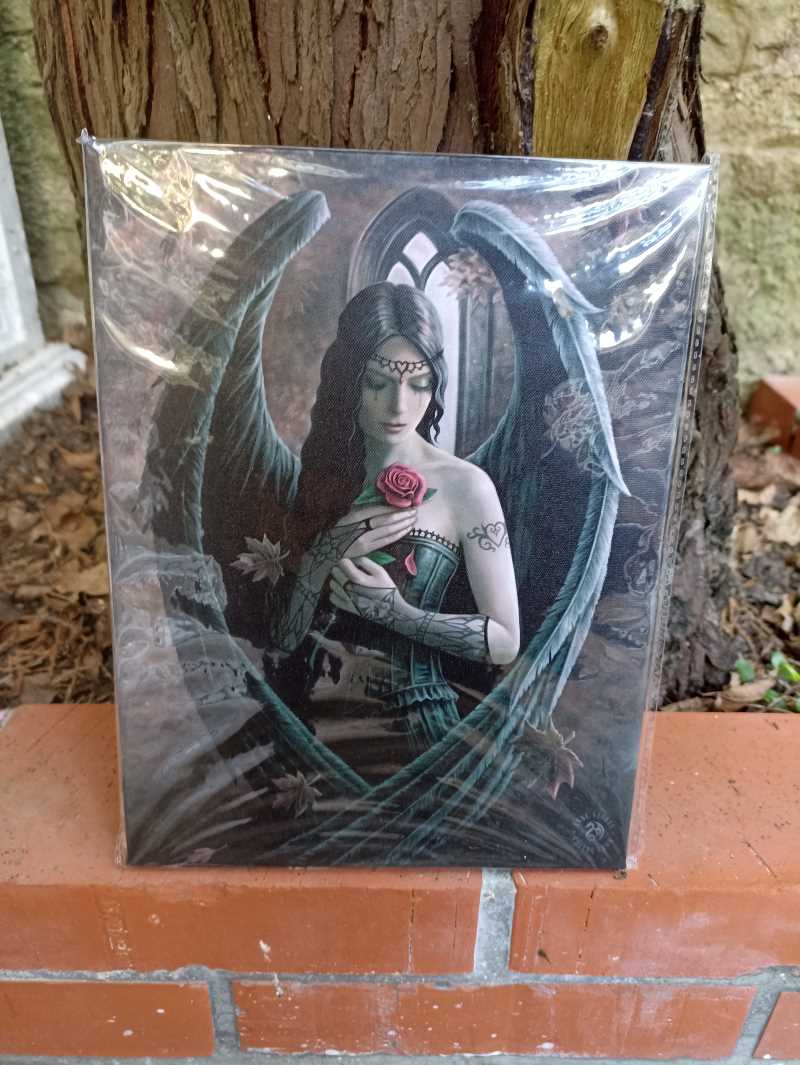  Toile "Angel Rose" de Anne Stokes