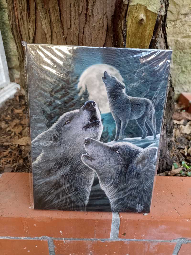Toile "Wolf Song" de Lisa Parker