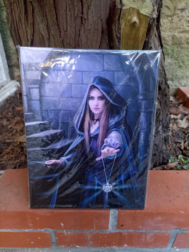  Toile " Lumière dans l'obscurité" de Anne Stokes