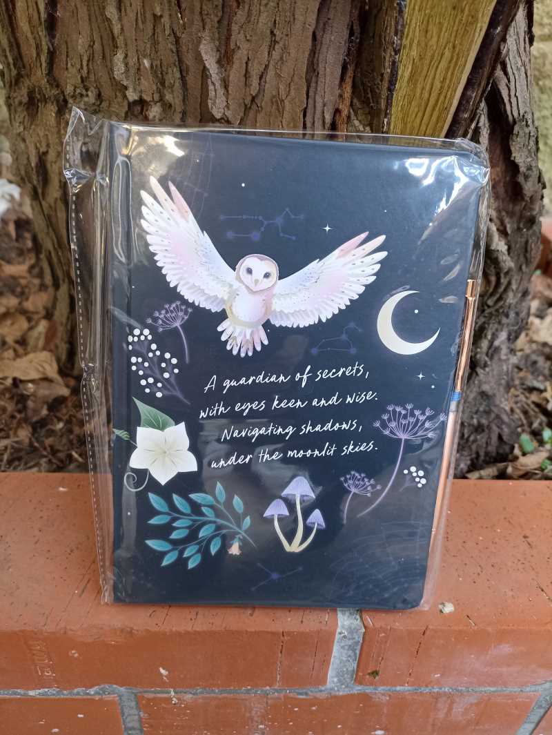 Journal Night Owl avec Stylo Sodalite