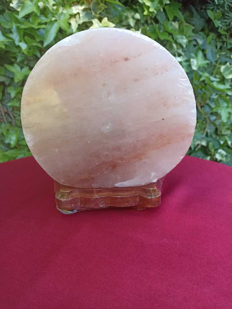 Lampe de Sel Arbre de Vie